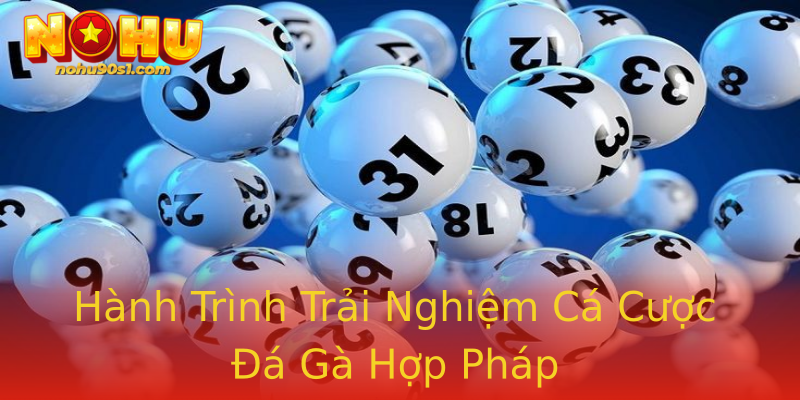 Hành Trình Trải Nghiệm Cá Cược Đá Gà Hợp Pháp